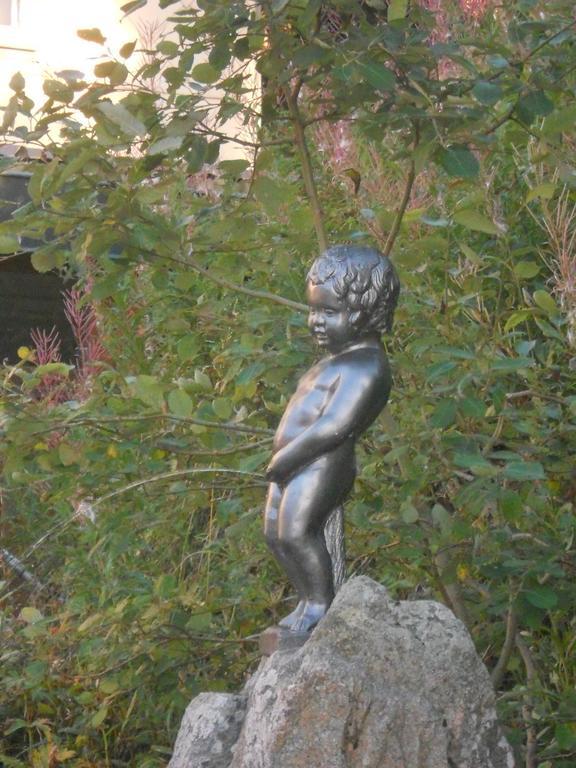 Hotel Restaurant Du Chalet Stosswihr エクステリア 写真