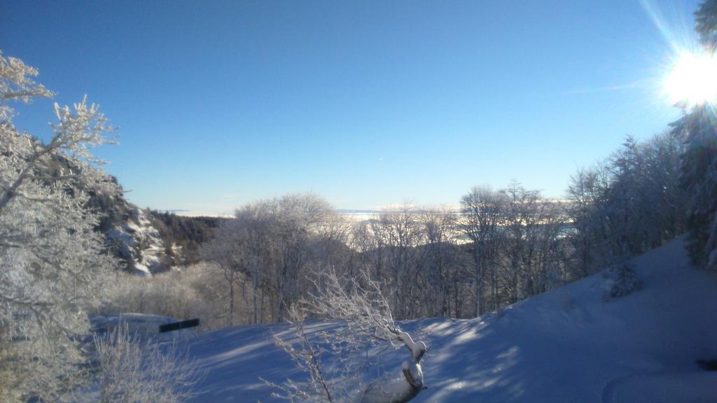 Hotel Restaurant Du Chalet Stosswihr エクステリア 写真